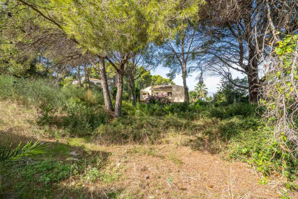 Land Javea Alicante - image 6