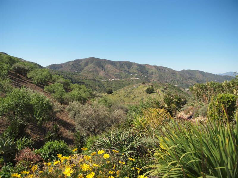 Finca - Cortijo Sedella Málaga - image 6