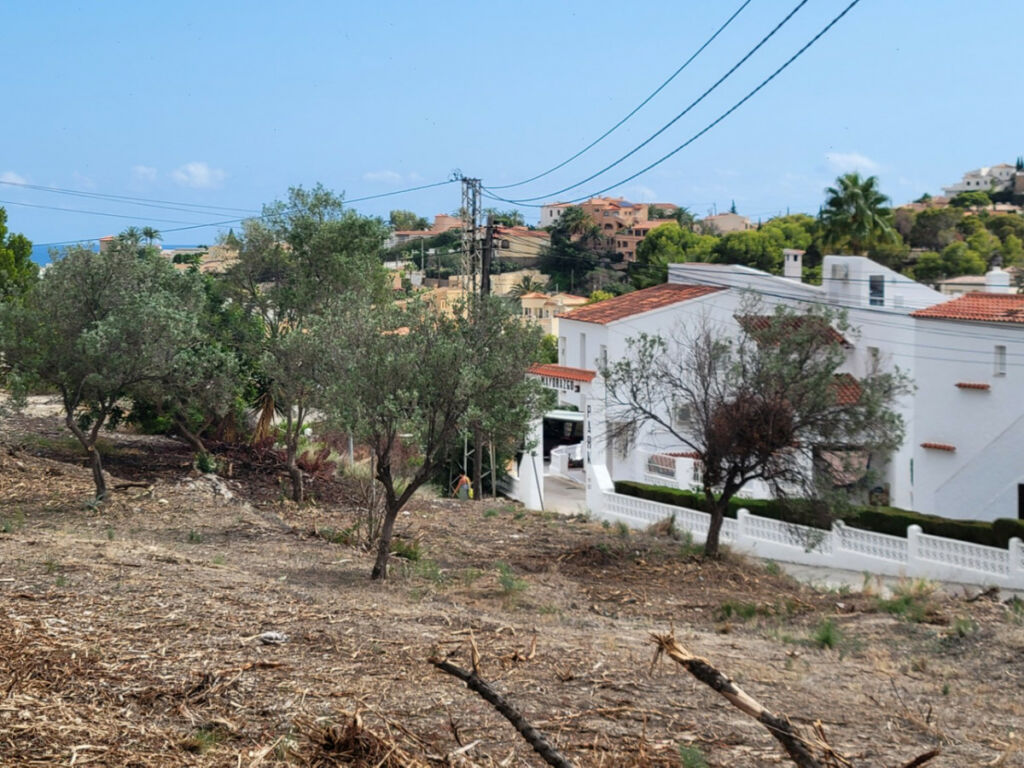 Land Calpe Alicante - image 9