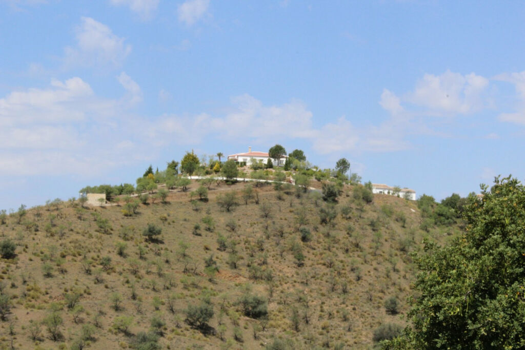Finca - Cortijo Alcaucín Málaga - image 6