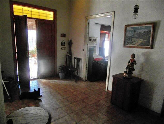 Finca - Cortijo Vélez-Málaga Málaga - image 6