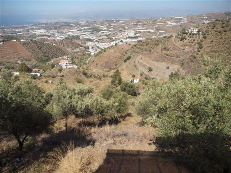 Finca - Cortijo Algarrobo Málaga - image 6
