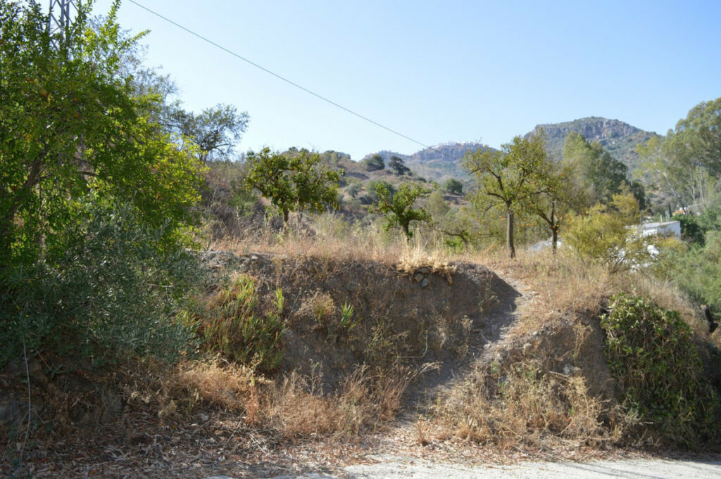 Residential Plot Comares Málaga - image 6
