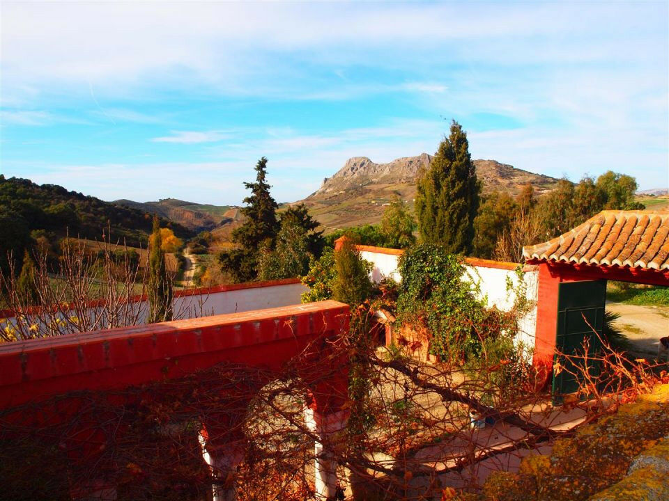 Finca - Cortijo Alcaucín Málaga - image 6