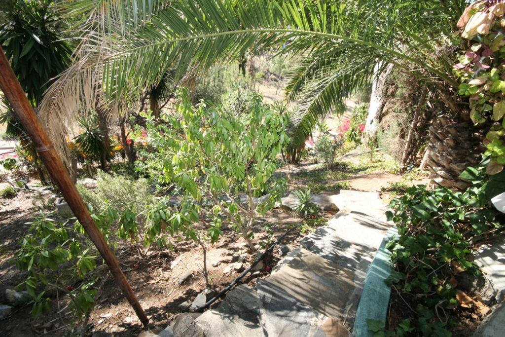 Detached Villa Rincón de la Victoria Málaga - image 6