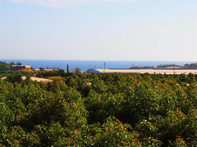 Finca - Cortijo Almayate Málaga - image 6