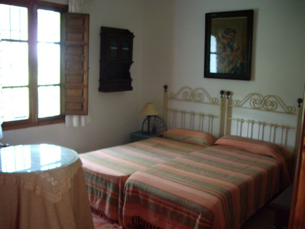Finca - Cortijo Canillas de Aceituno Málaga - image 6