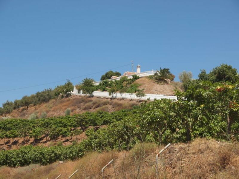 Detached Villa Benajarafe Málaga - image 6