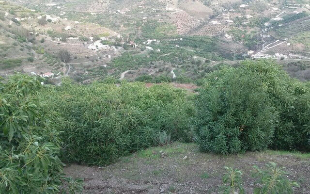 Finca - Cortijo Torrox Málaga - image 6