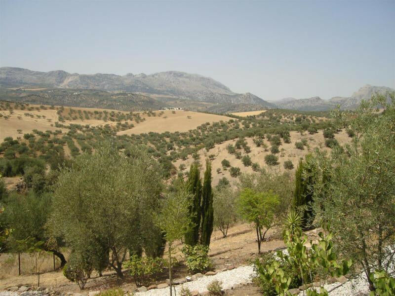 Detached Villa Colmenar Málaga - image 6