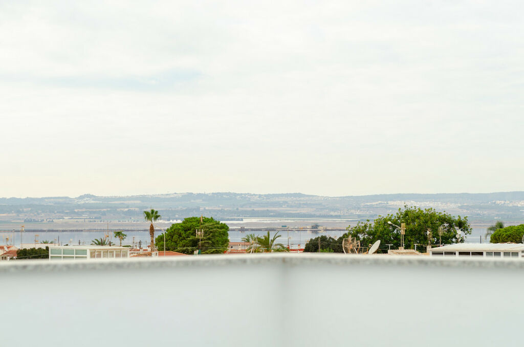 Detached Villa Torrevieja Alicante - image 69
