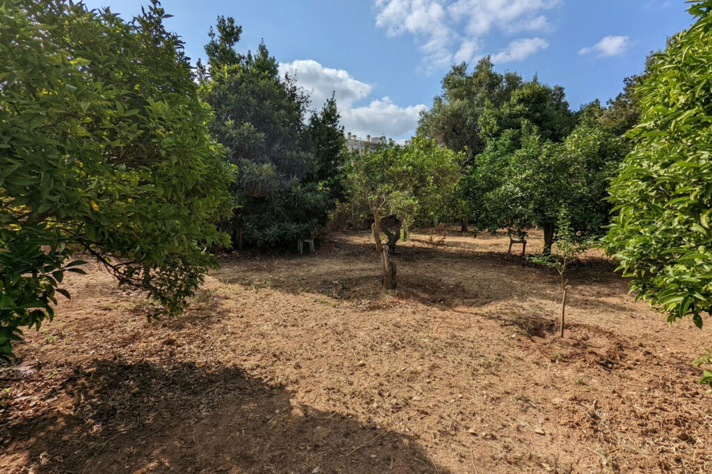 Residential Plot Denia Alicante - image 8