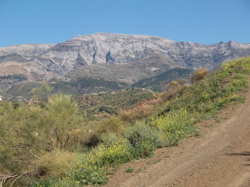Finca - Cortijo Sedella Málaga - image 7