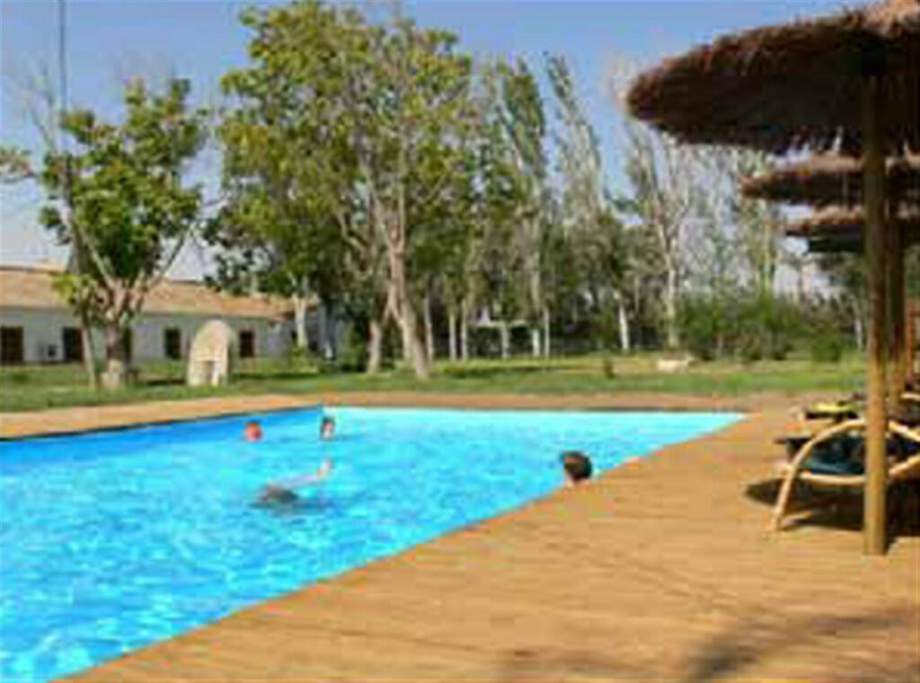 Finca - Cortijo Jerez de la Frontera Cádiz - image 7