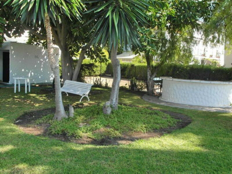 Ground Floor Apartment Benajarafe Málaga - image 7