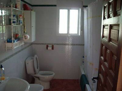 Finca - Cortijo Canillas de Aceituno Málaga - image 7