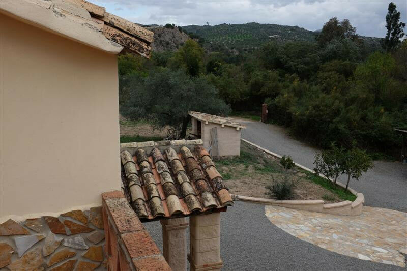 Finca - Cortijo Algodonales Cádiz - image 7