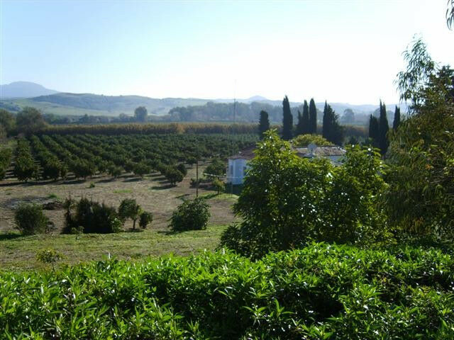 Finca - Cortijo Jimena de la Frontera Cádiz - image 7