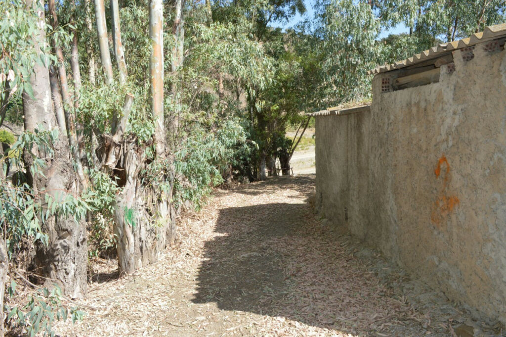Residential Plot Comares Málaga - image 7
