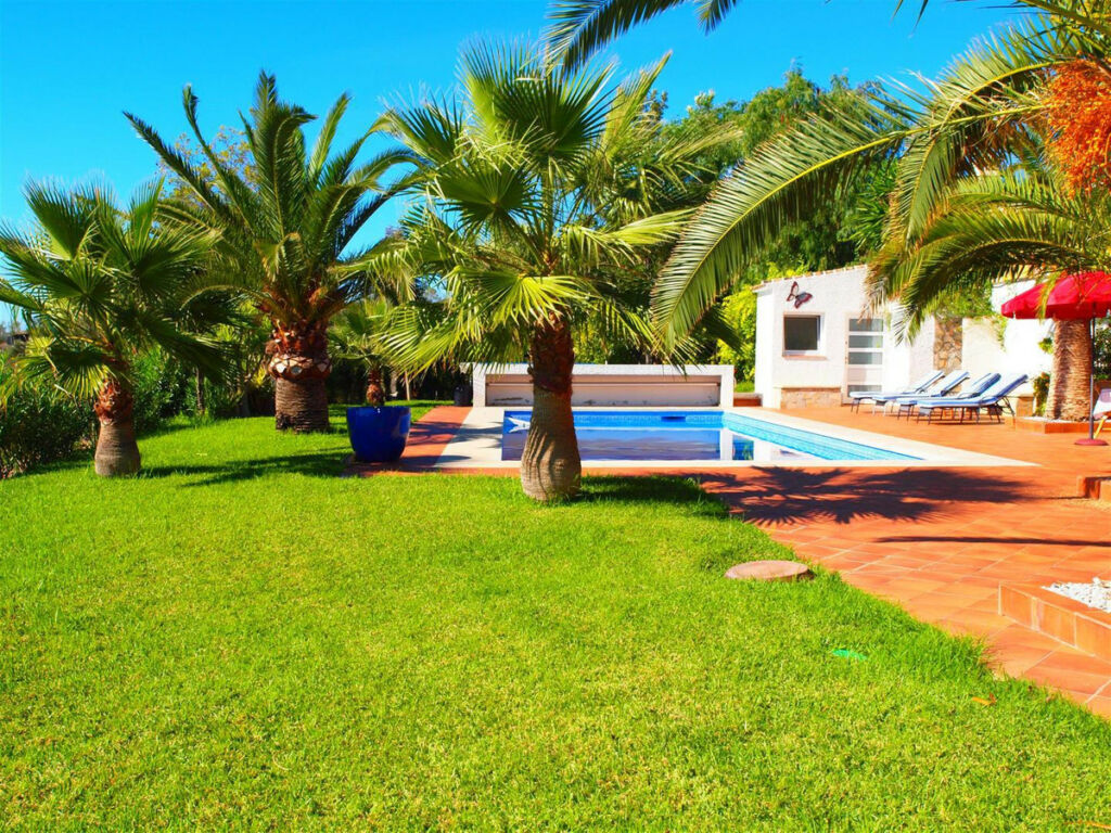 Finca - Cortijo Algarrobo Málaga - image 7