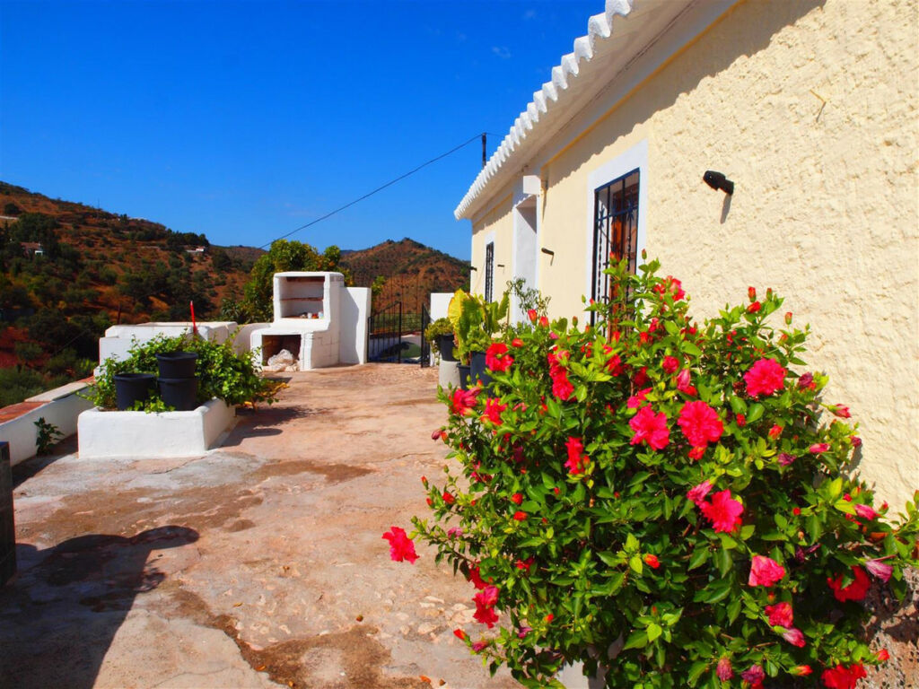Finca - Cortijo Comares Málaga - image 7