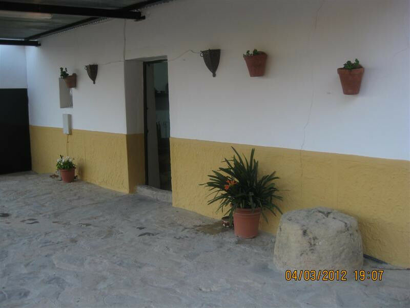 Finca - Cortijo Arcos de la Frontera Cádiz - image 7