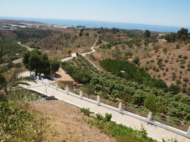 Detached Villa Benajarafe Málaga - image 7