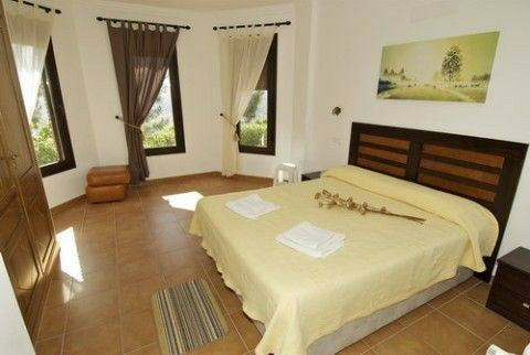 Detached Villa Sayalonga Málaga - image 7