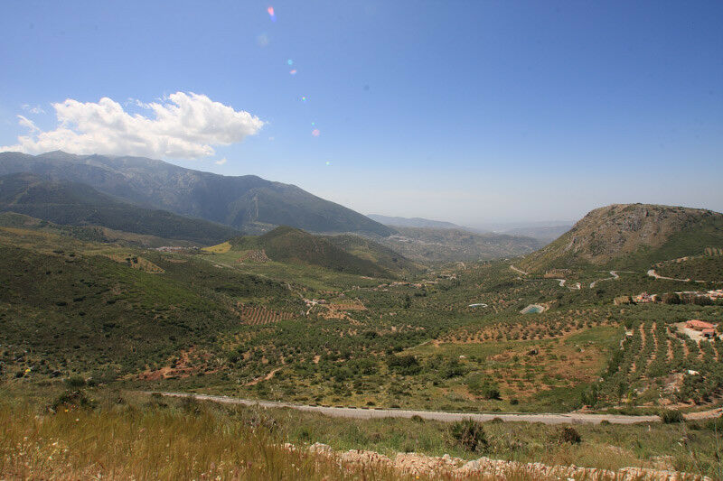 Land Periana Málaga - image 7