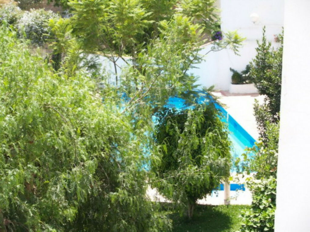 Semi-Detached House Benajarafe Málaga - image 7