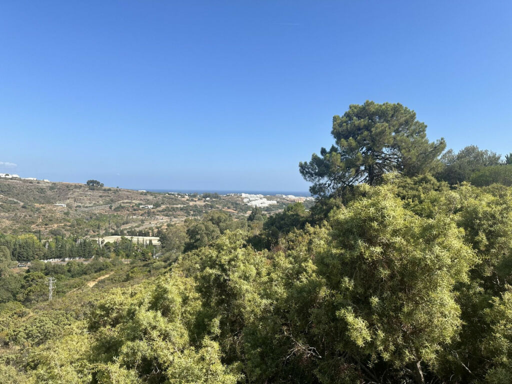 Land Benahavís Málaga - image 9