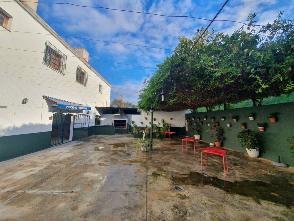 Restaurant Guaro Málaga - image 23