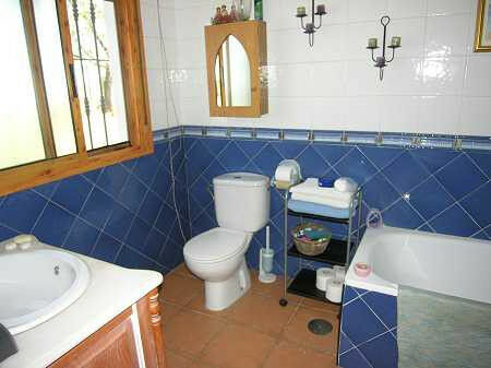 Finca - Cortijo Sedella Málaga - image 8