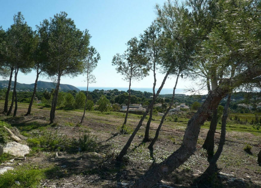 Land Moraira Alicante - image 8
