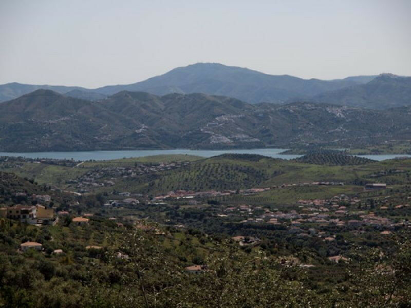 Detached Villa Alcaucín Málaga - image 8