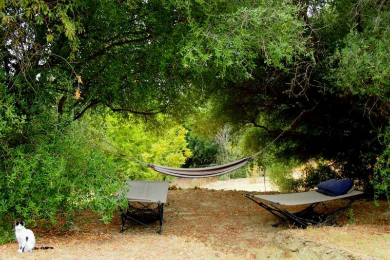 Finca - Cortijo Jimena de la Frontera Cádiz - image 8