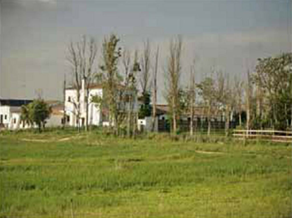 Finca - Cortijo Jerez de la Frontera Cádiz - image 8