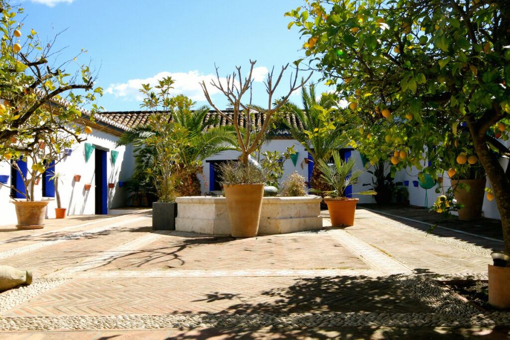 Finca - Cortijo Jimena de la Frontera Cádiz - image 8