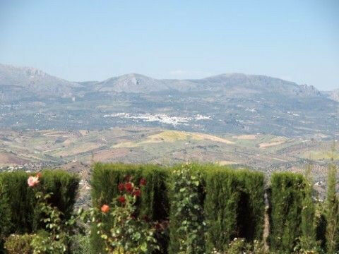 Detached Villa Comares Málaga - Bild 8