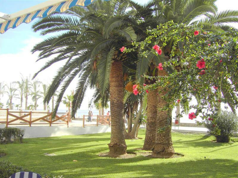 Middle Floor Apartment Algarrobo Málaga - image 8