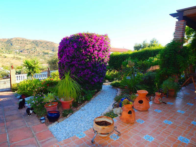 Detached Villa Alcaucín Málaga - image 8