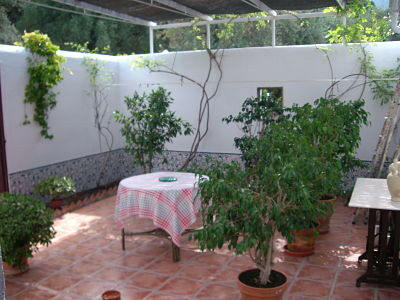 Finca - Cortijo Canillas de Aceituno Málaga - image 8