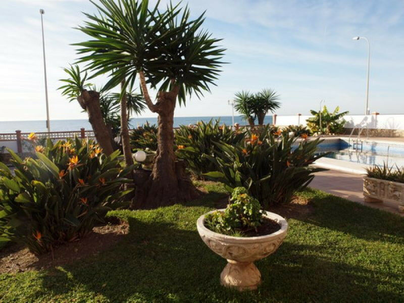 Detached Villa Benajarafe Málaga - image 8