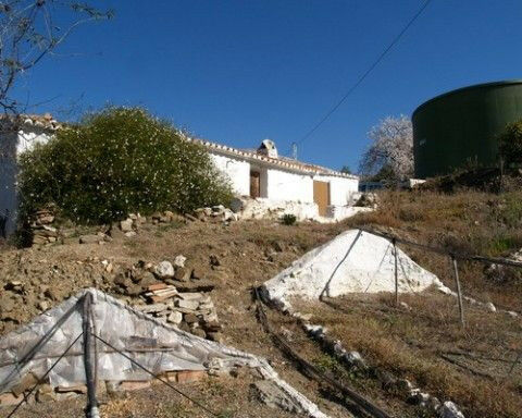 Finca - Cortijo Canillas de Aceituno Málaga - image 8