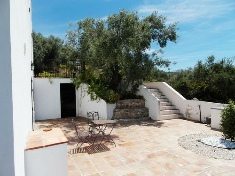 Detached Villa Periana Málaga - image 8