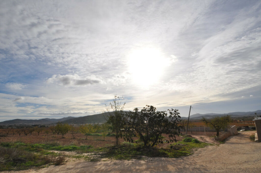 Finca - Cortijo Pinoso Alicante - image 8