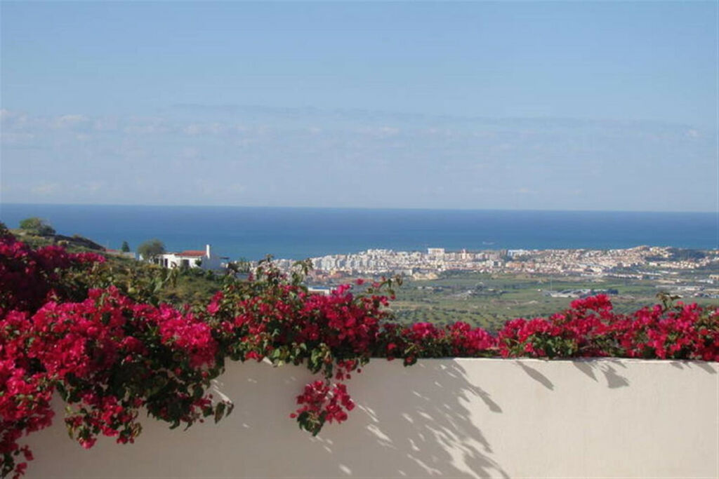 Detached Villa Arenas Málaga - image 9