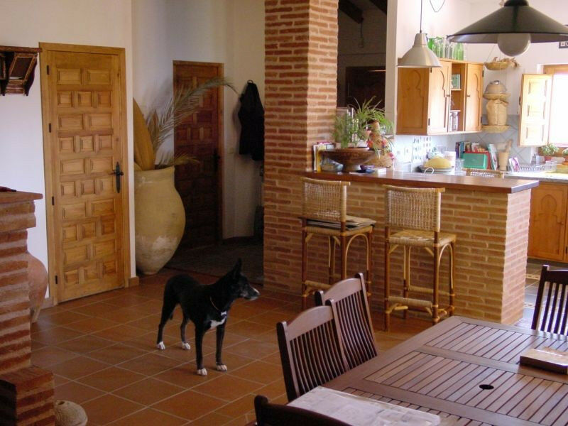 Detached Villa Cútar Málaga - Bild 9