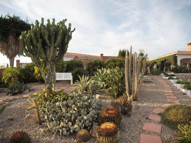 Detached Villa Benajarafe Málaga - image 9