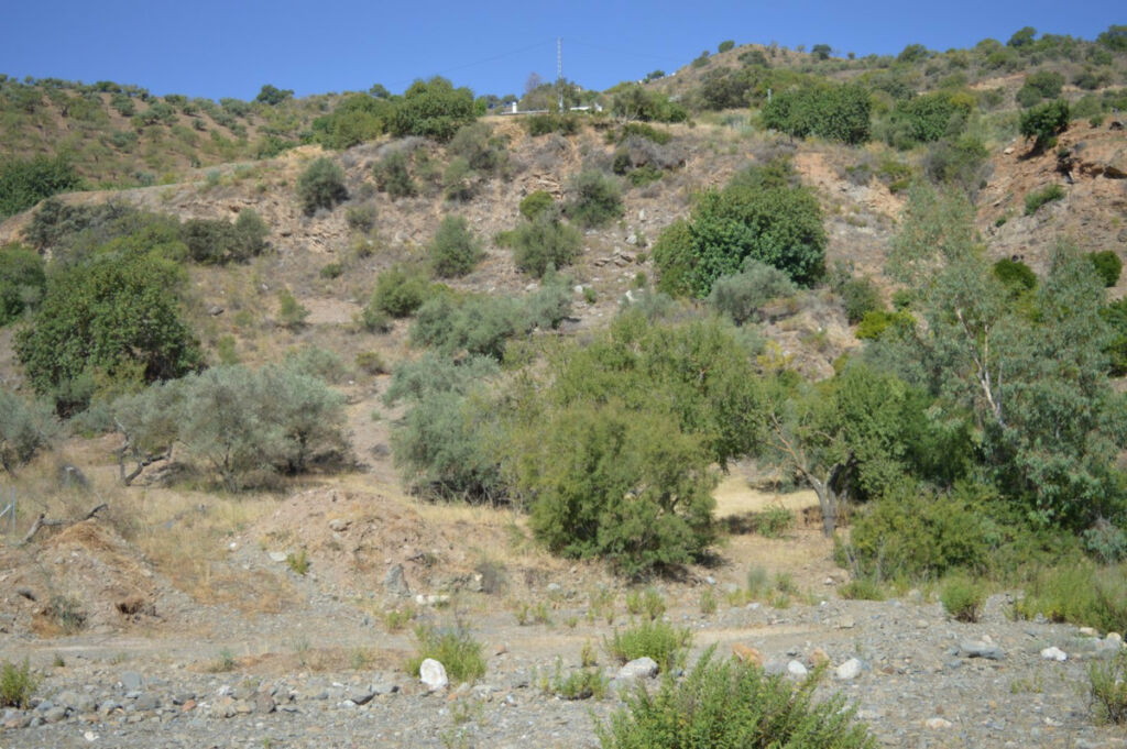 Residential Plot Comares Málaga - image 9